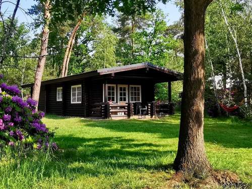 Ferienhaus Outdoors Holten - Family Lodge bad