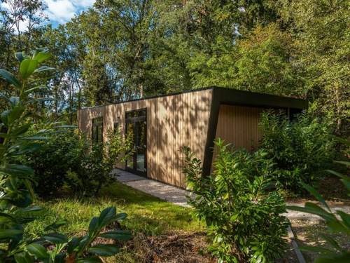 Ferienhaus De Wiltzangh - Bosrand Wellness Cabin Premium | 2p