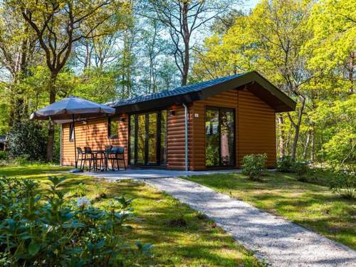 Ferienhaus De Wiltzangh - Sterrenborg Lodge Hottub | 4p