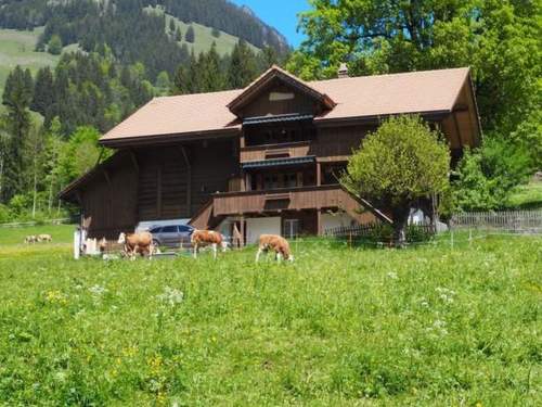 Ferienwohnung Chalet Rüteli Appartement/Fewo, Dusche, WC, 1 Schlafraum 2-Zimmerwohnung