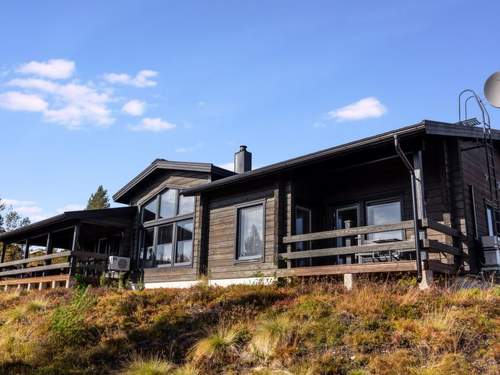 Ferienhaus Villa polar night