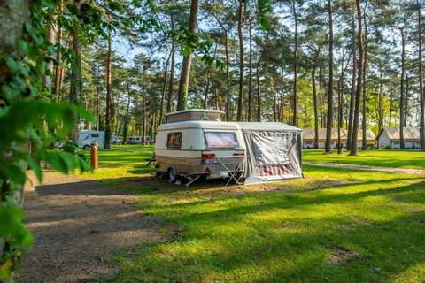 Ferienunterkunft in Zutendaal (6 Personen)