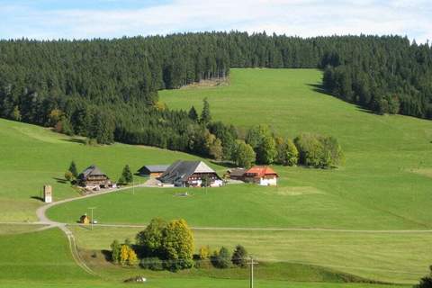 Ferienunterkunft in Titisee-Neustadt (4 Personen)