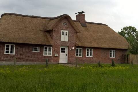 Ferienunterkunft in Oldsum/Föhr (4 Personen)
