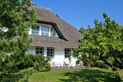 Ferienunterkunft in Prerow (3 Personen)