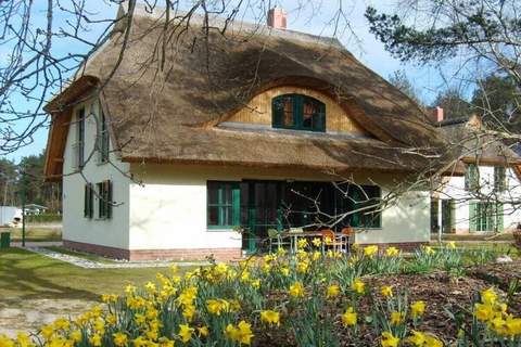 Ferienunterkunft in Glowe (5 Personen)