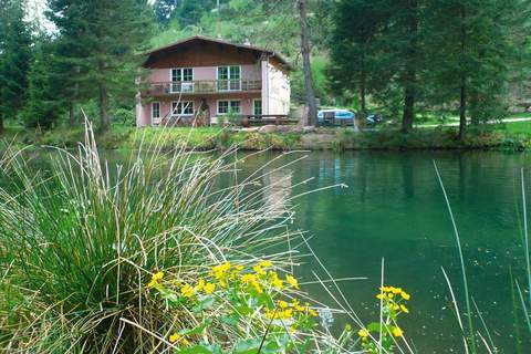 Holiday flats Forellenhof Dabo / Typ A - 2 Erw 55 qm - Ferienunterkunft in Dabo (2 Personen)