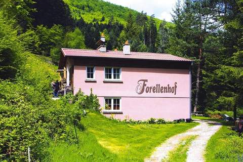 Holiday flats Forellenhof Dabo // Typ C 7 Pers 110 qm - Ferienunterkunft in Dabo (7 Personen)