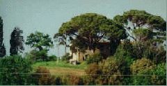 Ferienhaus Poderino  in 
Castelnuovo della Misericordia (Italien)