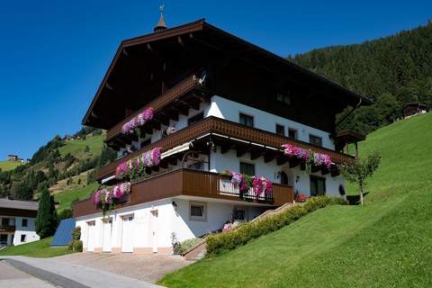 Waldrand - Ferienunterkunft in Hollersbach im Pinzgau (5 Personen)