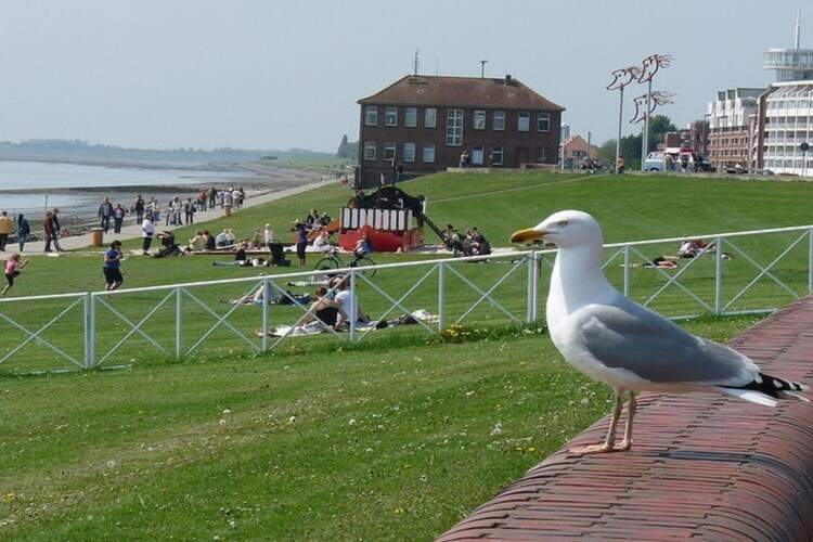 Bildbox_1
