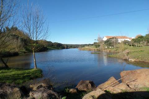 Casa do Olival - Ferienunterkunft in Montomor o Novo (4 Personen)
