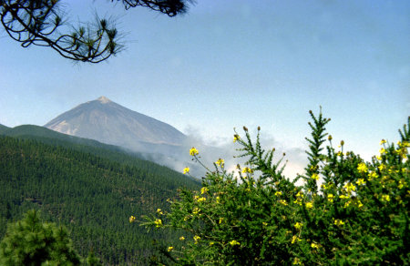Pico del Teide von Norden aus