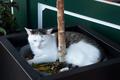 Ansicht