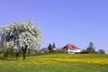 Ansicht