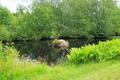 Ansicht
