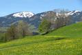 Ansicht