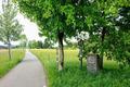 Ansicht