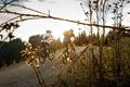Ansicht