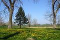 Ansicht