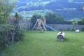 Ansicht