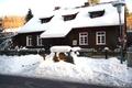 Ansicht