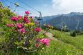 Ansicht