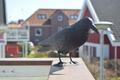 Ansicht