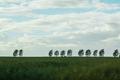 Ansicht