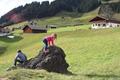 Ansicht