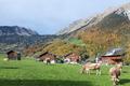 Ansicht