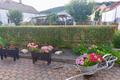 Ansicht