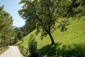 Ansicht