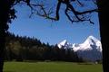 Ansicht