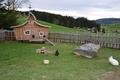 Ansicht