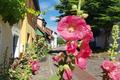 Ansicht