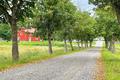 Ansicht