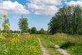 Ansicht