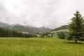 Ansicht