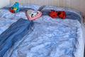 Ansicht