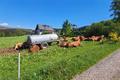 Ansicht