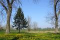 Ansicht