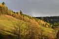 Ansicht