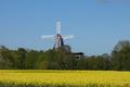 Ansicht
