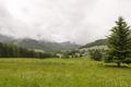 Ansicht