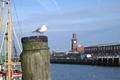 Ansicht