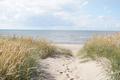 Ansicht