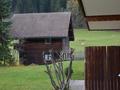 Ansicht