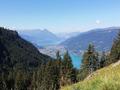 Ansicht