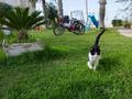 Ansicht